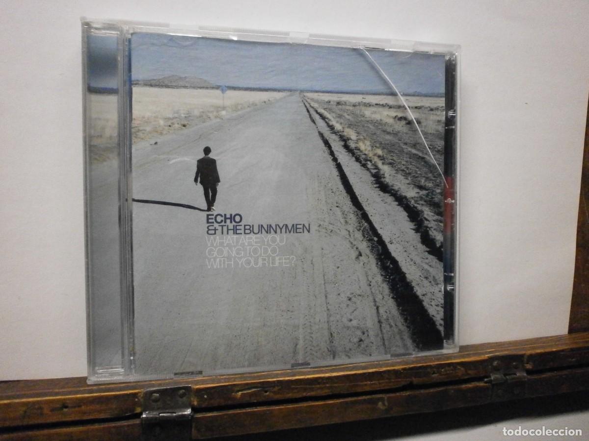 CDs de m&uacute;sica: cd echo the bunnymen buen estado