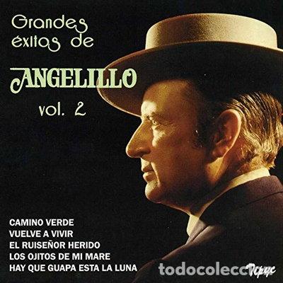 CDs de m&uacute;sica: Grandes &eacute;xitos - Volumen 2- 8414198545458