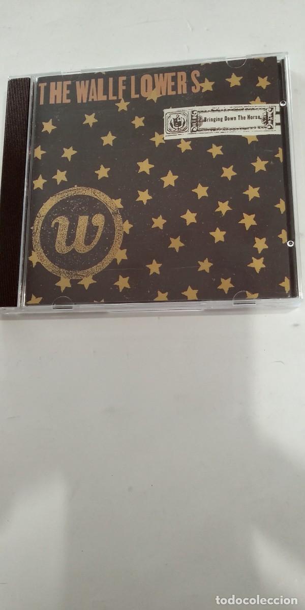 CDs de m&uacute;sica: The Wallflowers Bringing Down The Horse