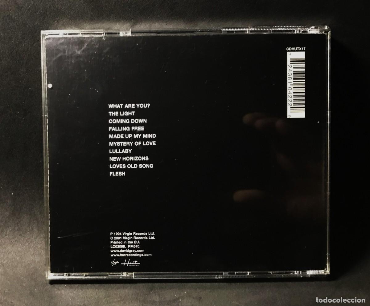 CDs de m&uacute;sica: David Gray &ndash; Flesh - CD - Hut Recordings - Foto 2