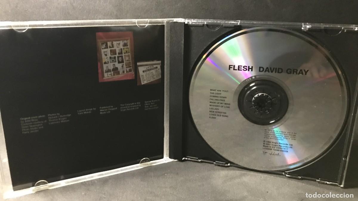 CDs de m&uacute;sica: David Gray &ndash; Flesh - CD - Hut Recordings - Foto 3