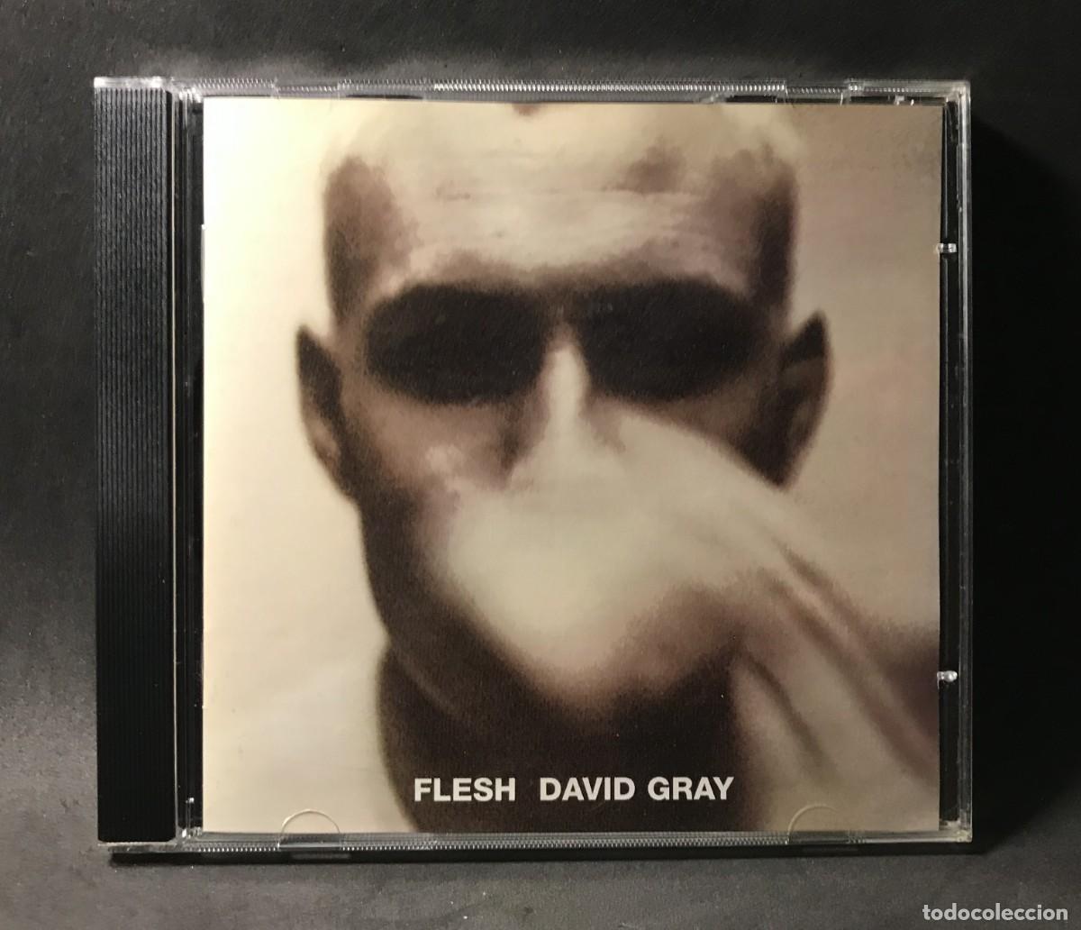 CDs de m&uacute;sica: David Gray &ndash; Flesh - CD - Hut Recordings - Foto 1