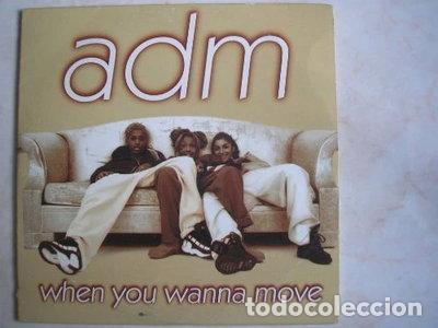 CDs de m&uacute;sica: When You Wanna Move- 0724387014022