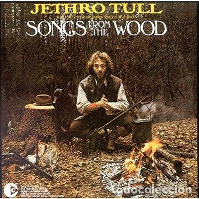 CDs de m&uacute;sica: Songs From the Wood- 0724358351729