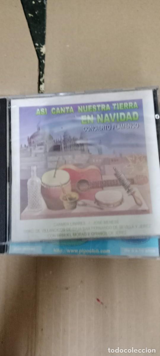 CDs de m&uacute;sica: ASI CANTA NUESTRA TIERRA EN NAVIDAD CD MUSICA GG-HA