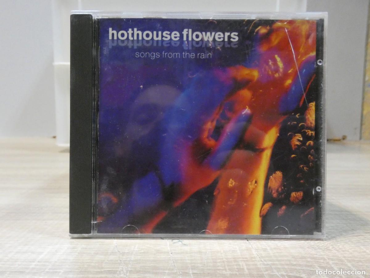 CDs de m&uacute;sica: ARKANSAS1980 BOXX757 CD ESTADO CORRECTISIMO - HOTHOUSE FLOWERS