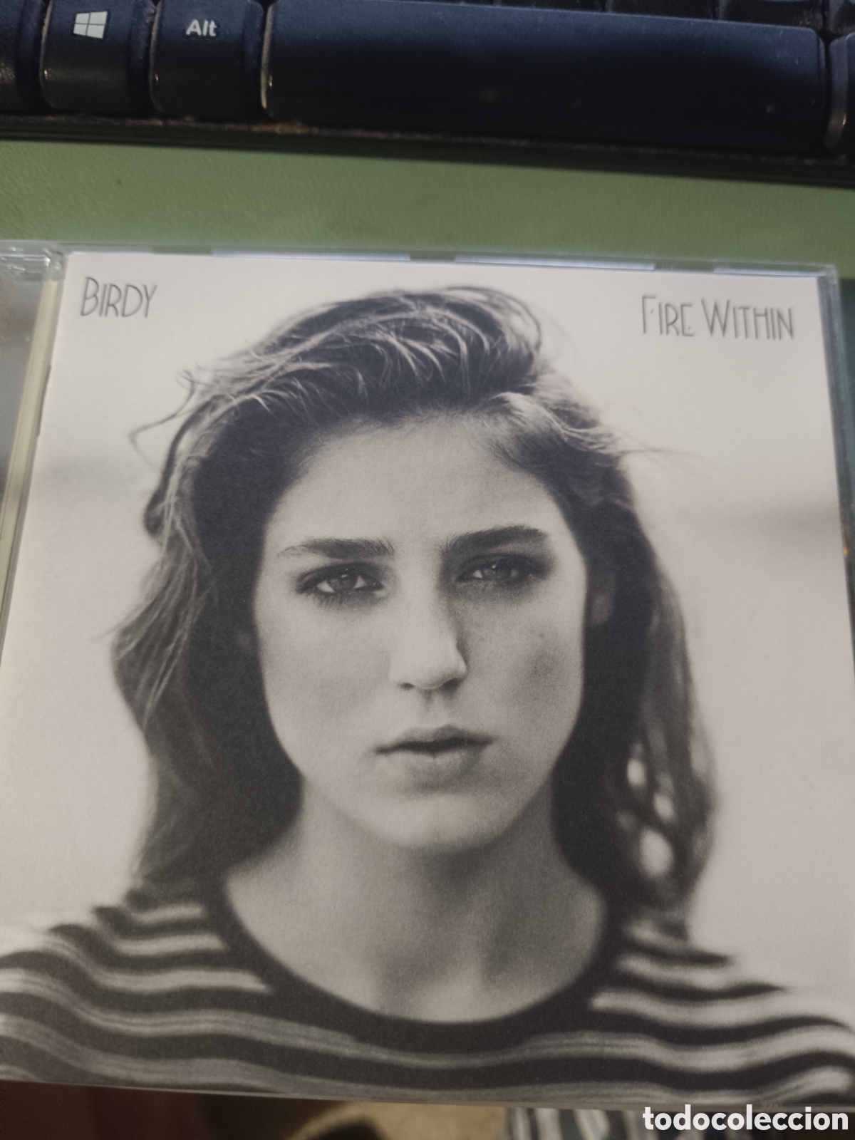 CDs de m&uacute;sica: Birdy &ndash; Fire Within (CD, Rock)