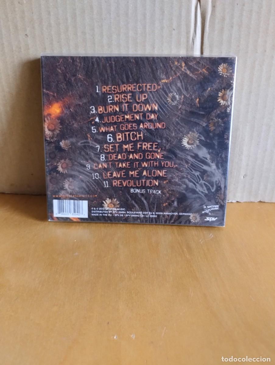CDs de m&uacute;sica: THE DEAD DAISIES ---- BURN IT DOWN - Foto 2