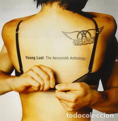 CDs de m&uacute;sica: Young Lust: The Aerosmith Anthology- 0606949311926