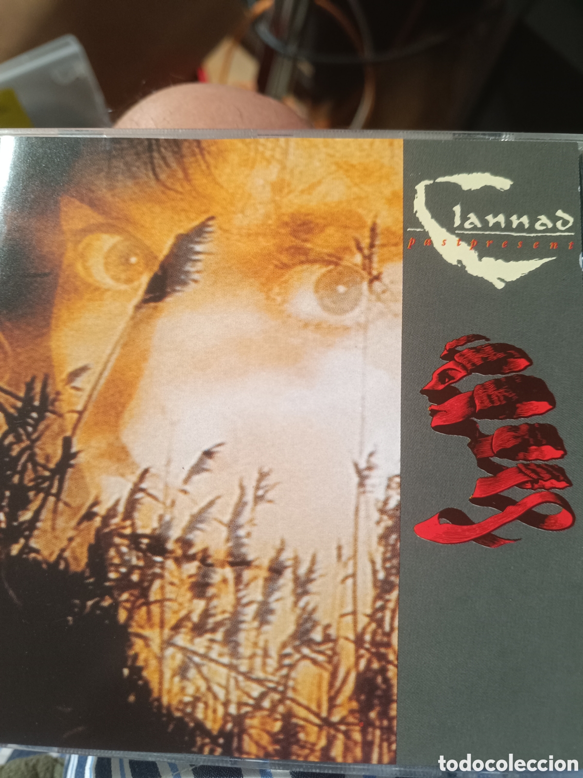 CDs de m&uacute;sica: Clannad &ndash; Pastpresent (CD, World Music)