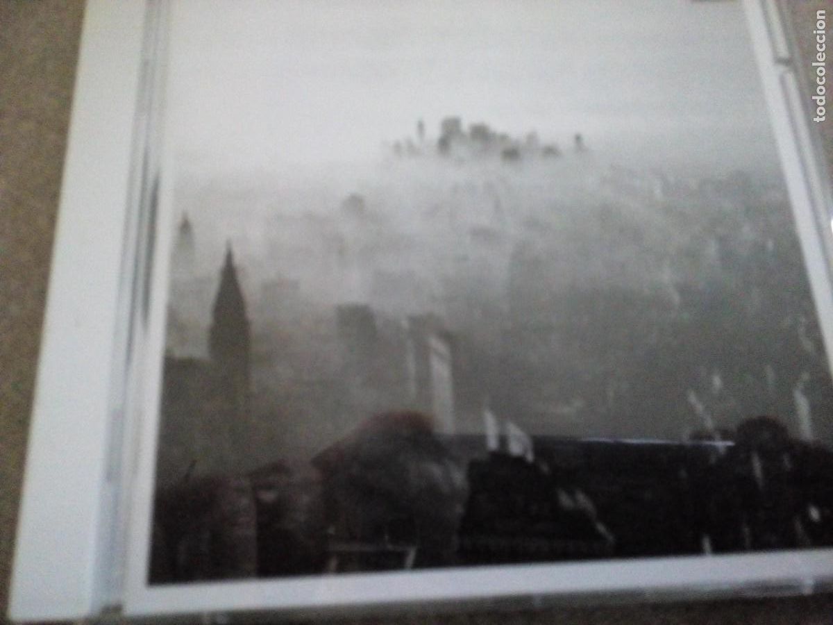 CDs de Musique: VAMPIRE WEEKEND MODERN VAMPIRES OF THE CITY CD