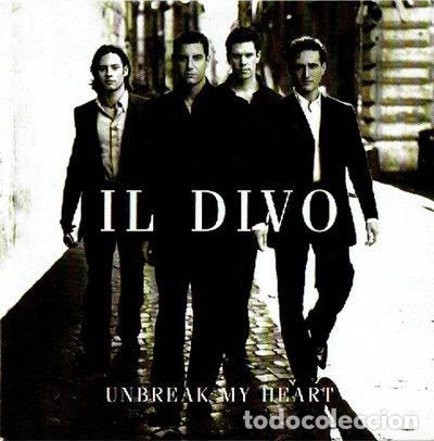 CDs de m&uacute;sica: Unbreak My Heart- 0828766845822