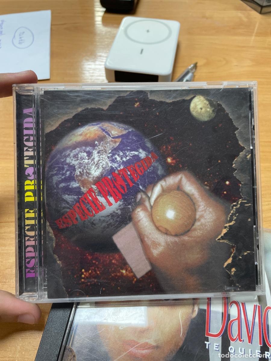 CDs de m&uacute;sica: Especie protegida en CD