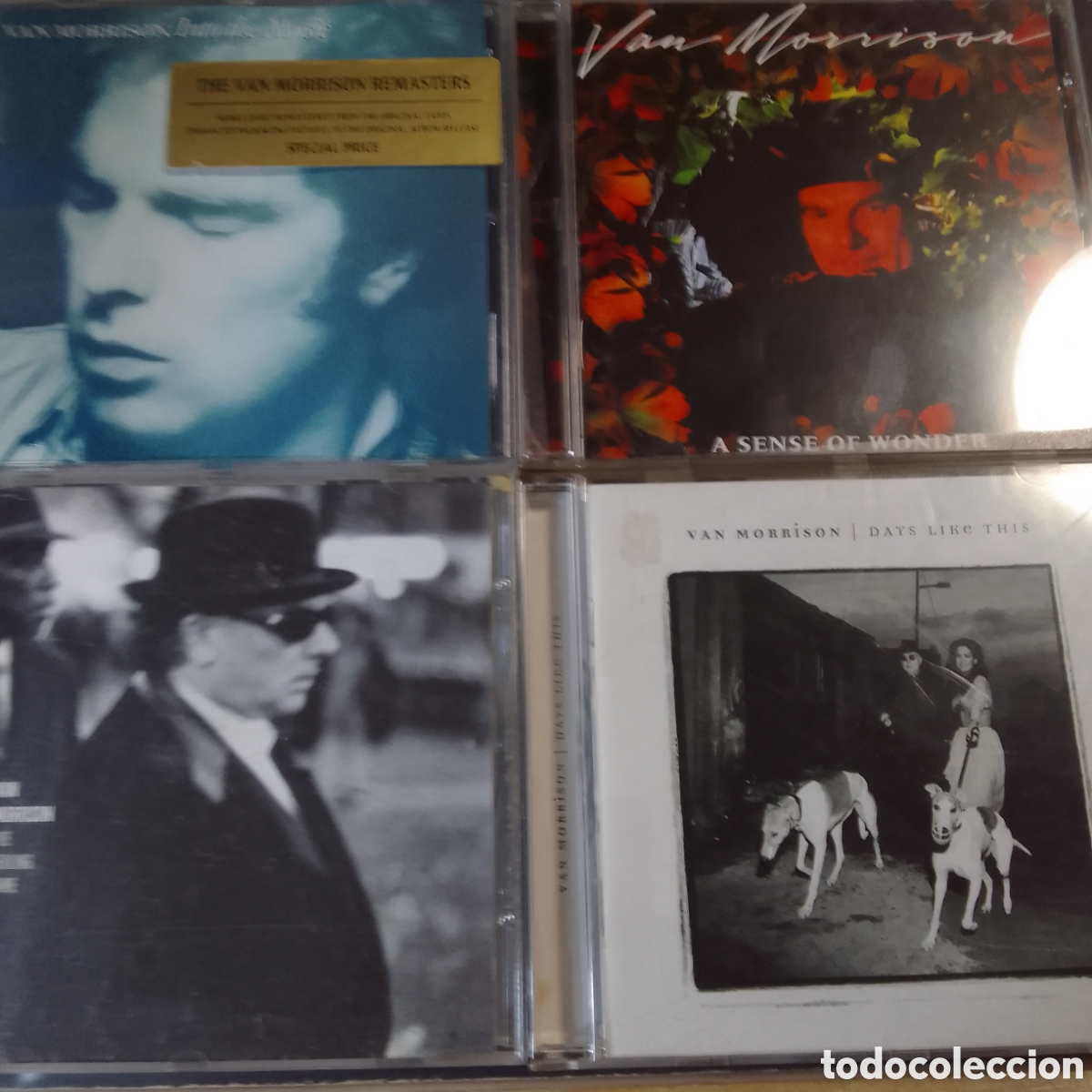 CDs de m&uacute;sica: 4 CDS DE VAN MORRISON LOTE 102