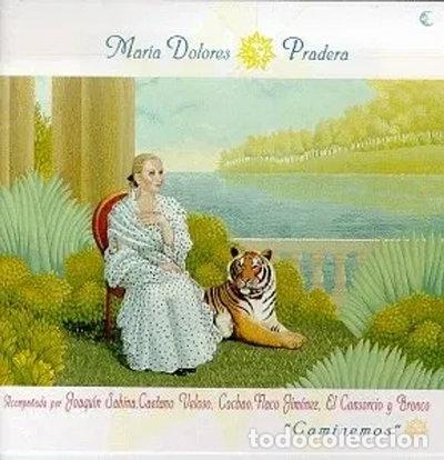 CDs de m&uacute;sica: Caminemos- 0743214167229