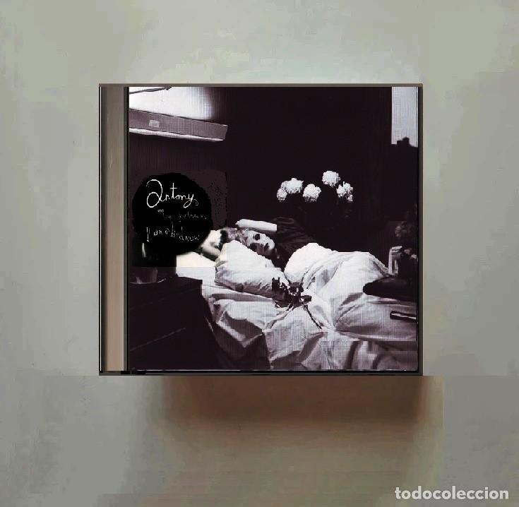 CDs de m&uacute;sica: ANTONY AND THE JOHNSONS. I AM A BIRD NOW. CD.
