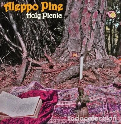 CDs de m&uacute;sica: Holy Picnic- 8437005066342