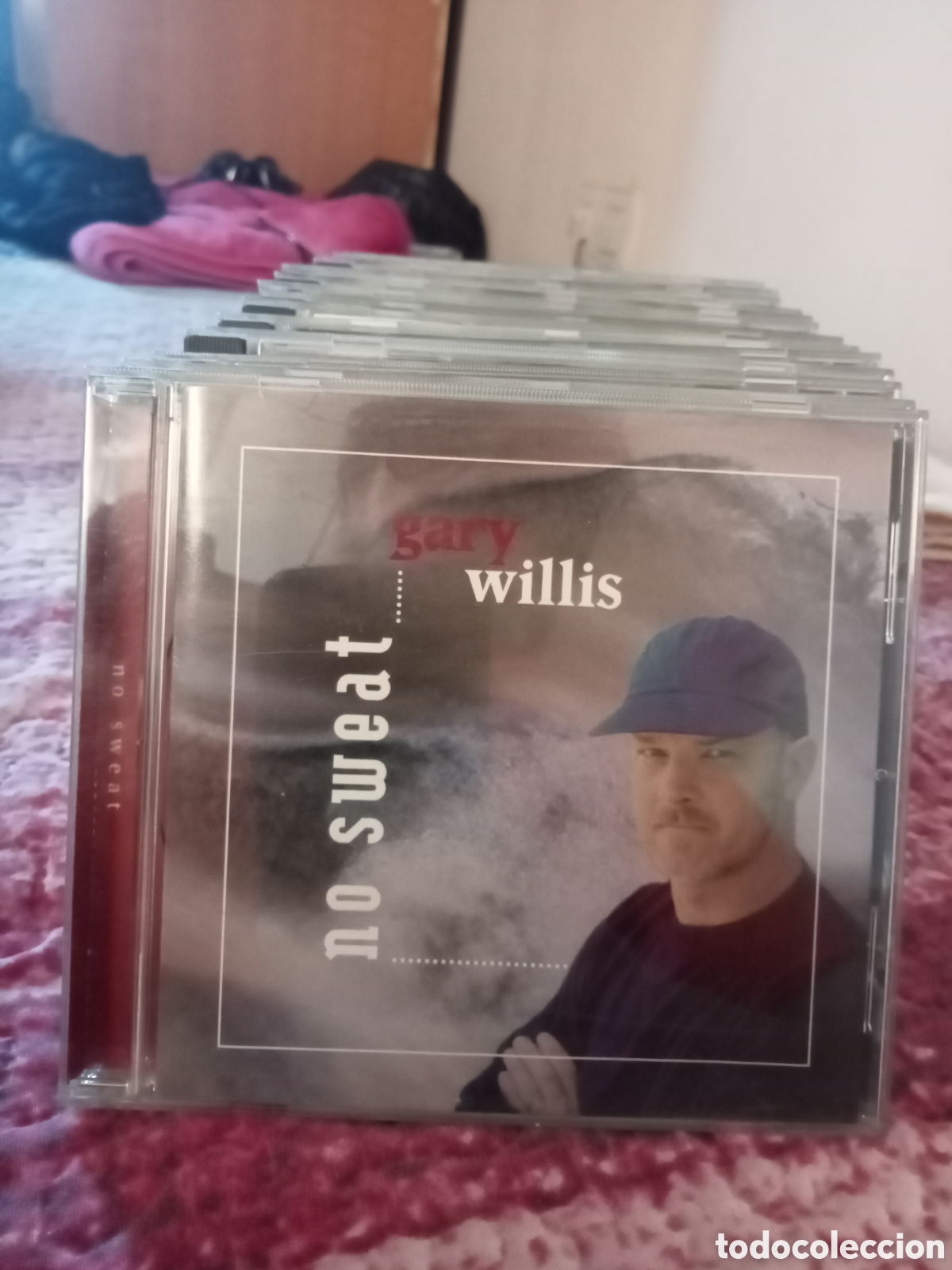 CDs de m&uacute;sica: Gary Willis no sweat - Foto 1
