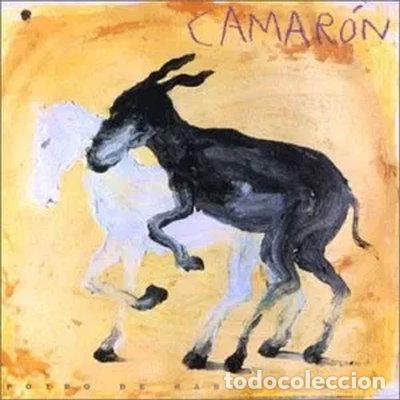 CDs de m&uacute;sica: Potro De Rabia Y Miel- 0731451240829