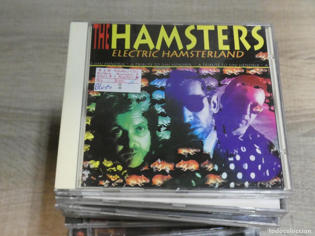 CDs de m&uacute;sica: ARKANSAS1980 LOTT771 CD MUY BUEN ESTADO THE HAMSTERS ELECTRIC HAMSTERLAND