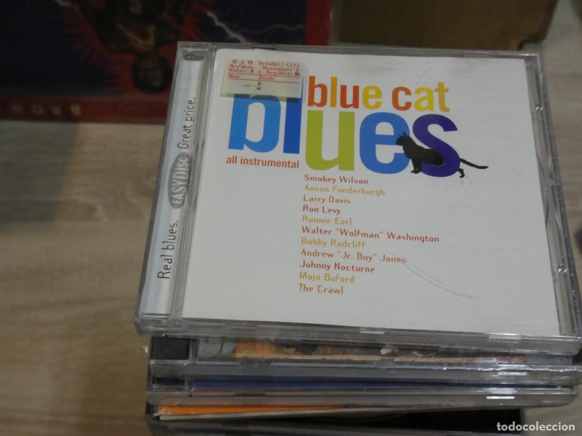 Musik-CDs: ARKANSAS1980 LOTT771 CD MUY BUEN ESTADO BLUE CAT BLUES