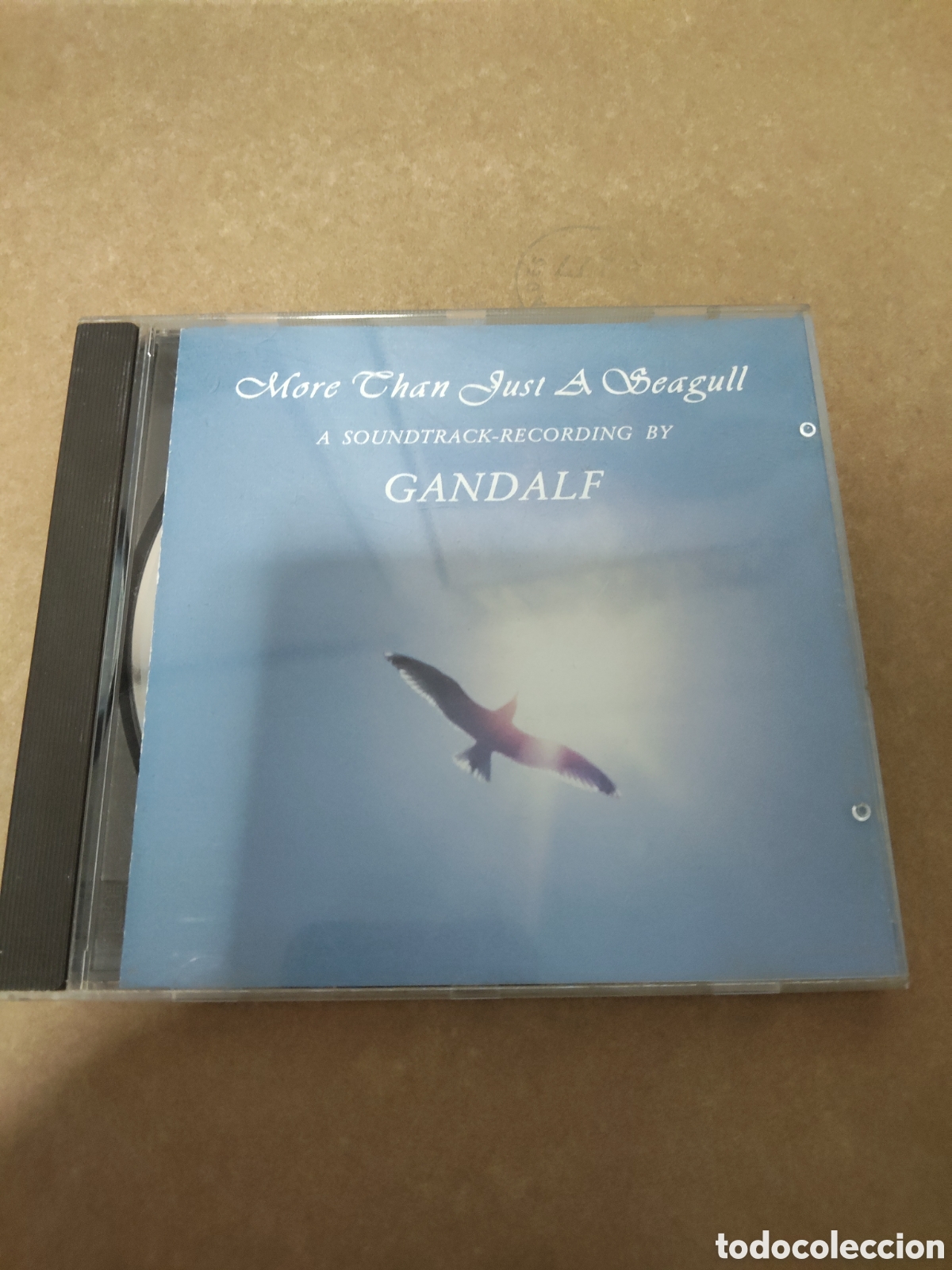 CDs de m&uacute;sica: More Than Just A Seagull&rdquo;, un &aacute;lbum de estudio instrumental compuesto por el m&uacute;sico multiinstrumenti