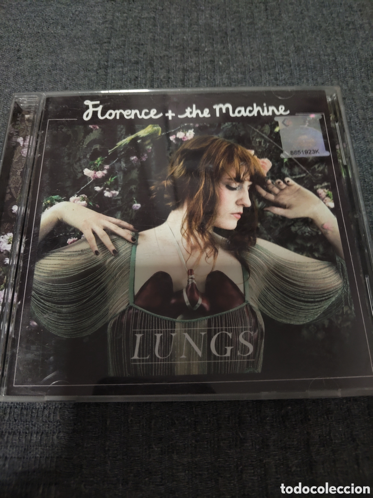 CDs de m&uacute;sica: Lungs, el aclamado &aacute;lbum debut de la banda brit&aacute;nica de indie rock Florence + the Machine