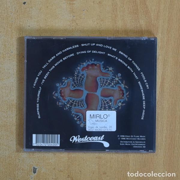 CDs de m&uacute;sica: FEE WAYBILL - DONT BE SCARED BY THESE HANDS - CD - Foto 2