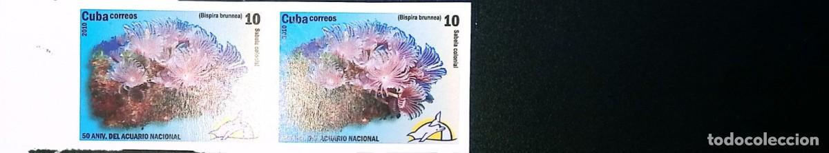 CDs de m&uacute;sica: TS) 2010 CUBA,DIE PROOF, IMPERFORATE, BLOCK OF 2, 50TH ANNIVERSARY OF THE NATIONAL AQUARIUM,MNH.