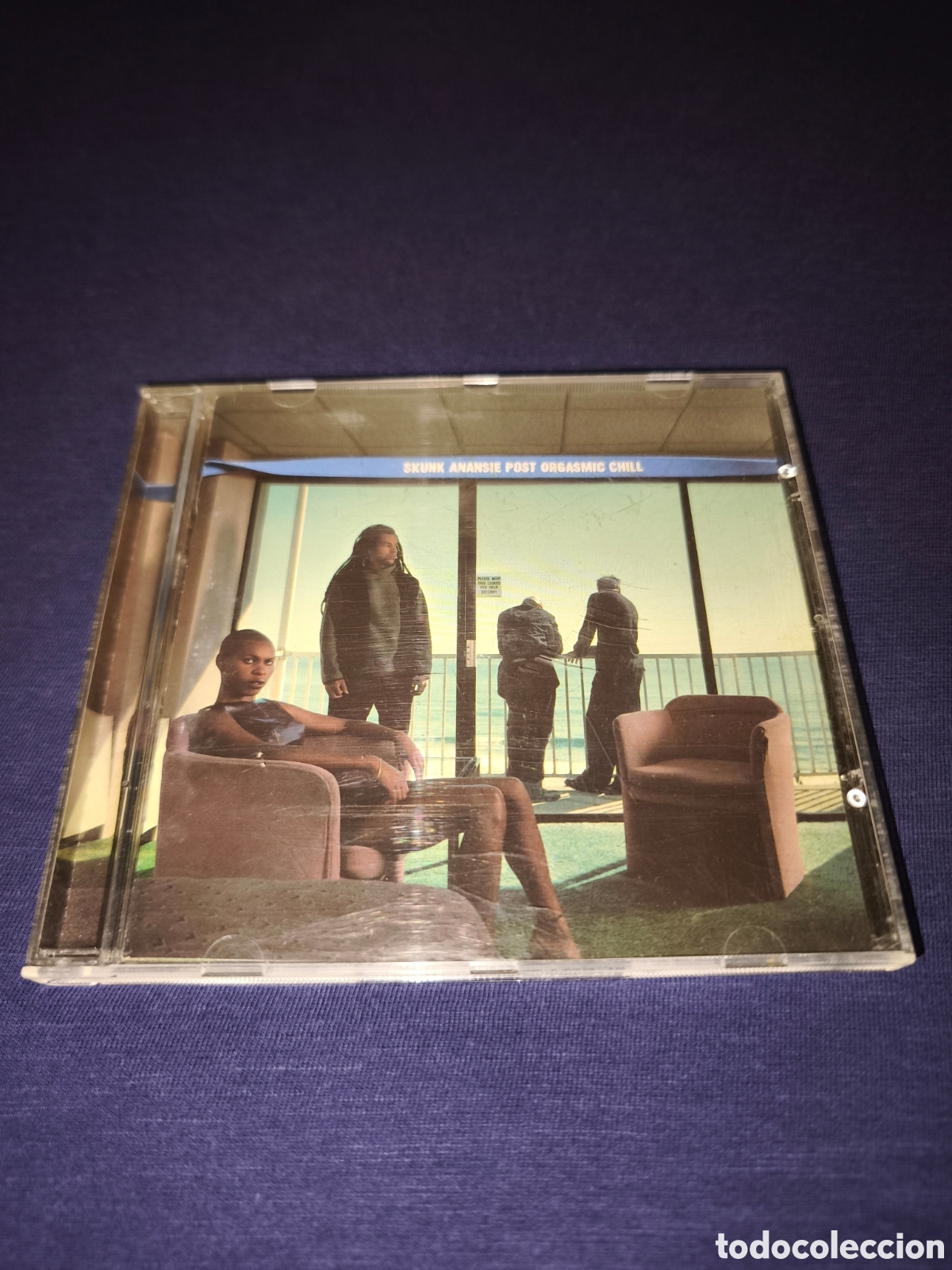 CDs de m&uacute;sica: Skunk Anansi Post org&agrave;smic chill