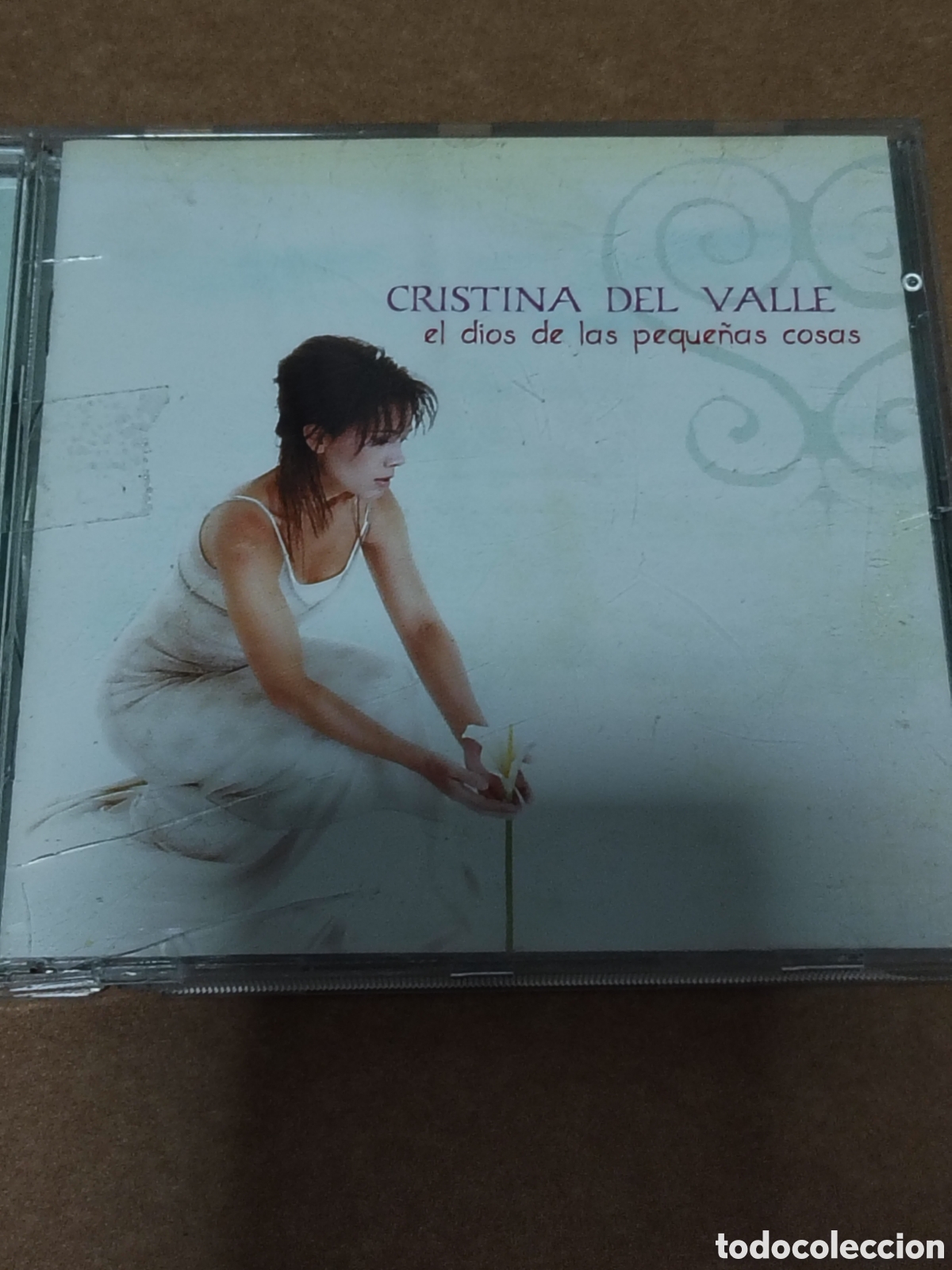 CDs de m&uacute;sica: El dios de las peque&ntilde;as cosas, lanzado en 1999 por la cantante espa&ntilde;ola Cristina del Valle,
