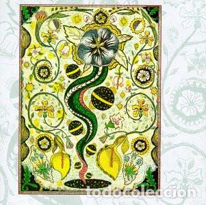 CDs de m&uacute;sica: Steve Earle &ndash; I Feel Alright (CD, Warner Bros. Records 9362-46201-2)