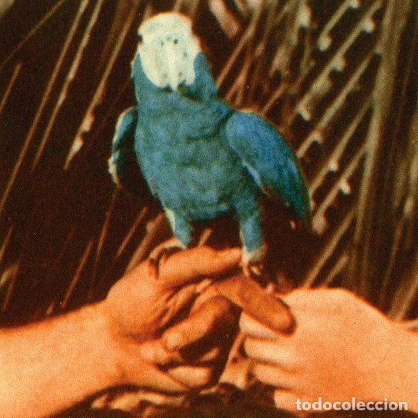 CDs de Musique: Andrew Bird &ndash; Are You Serious (CD, Loma Vista 0888072389977)
