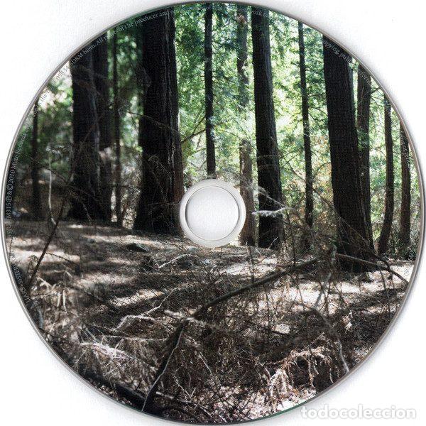 CDs de m&uacute;sica: Liars &ndash; Sisterworld (CD, Mute CDSTUMM315) - Foto 4