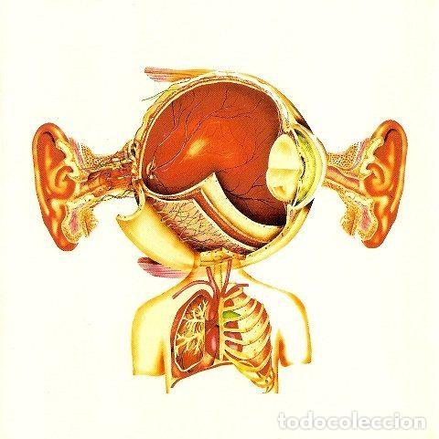 CDs de m&uacute;sica: Senser &ndash; Schematic (CD, One Little Indian TPLP390CD) - Foto 4