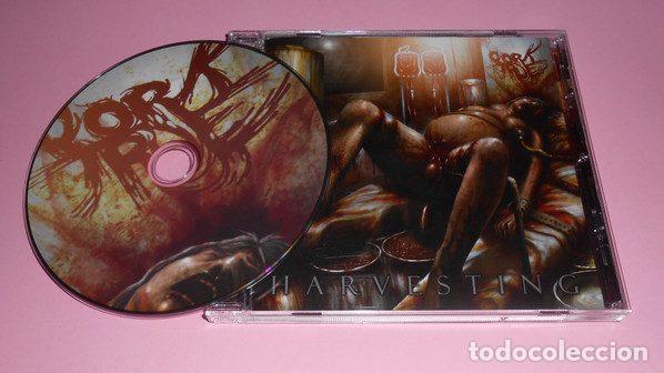 CDs de Musique: Pork True &ndash; Harvesting (CD, Base Record Production BRP095)
