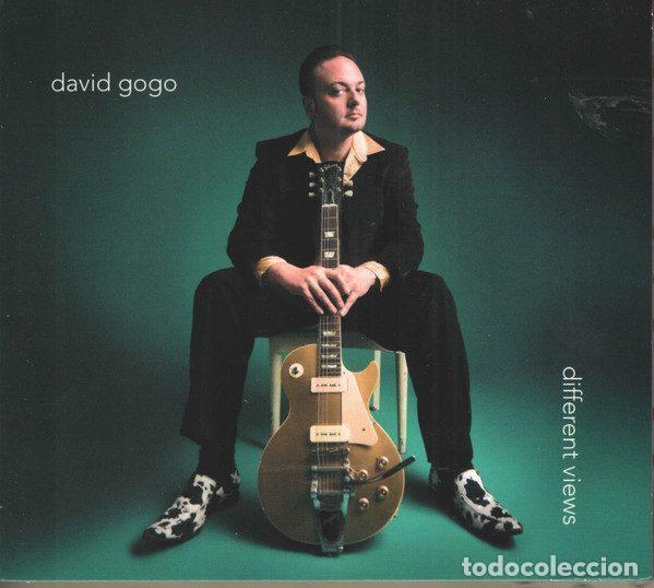 Musik-CDs: David Gogo &ndash; Different Views (CD, DixieFrog DFGCD-8689)
