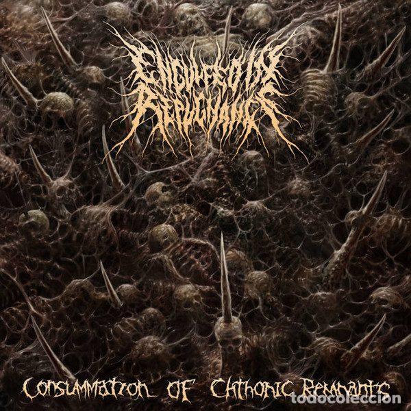 CDs de Musique: Engulfed in Repugnance &ndash; Consummation Of Chthonic Remnants (CD, Pathologically Explicit...