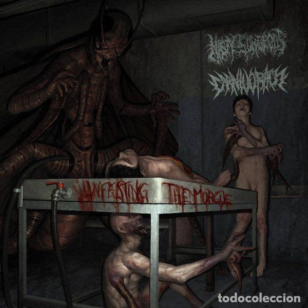 CDs de m&uacute;sica: Nasty Surgeons, Carnivoracy &ndash; Infecting The Morgue (CD, Base Record Production BRP 2525)