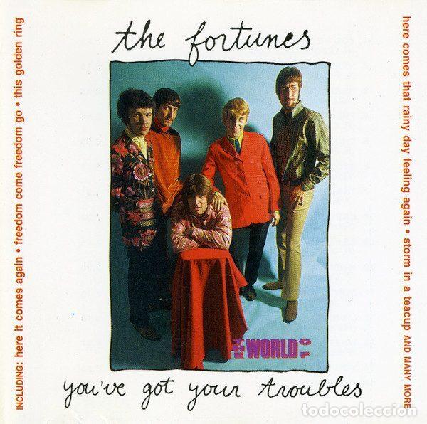 Musik-CDs: The Fortunes &ndash; You've Got Your Troubles (CD, Trace 0401482)