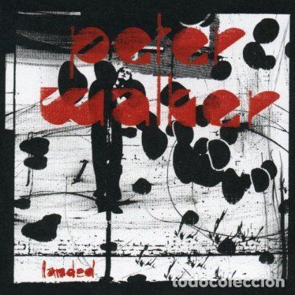 Music CDs: Peter Walker &ndash; Landed (CD, Cooking Vinyl COOK CD 324)