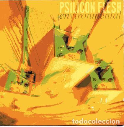 Music CDs: Psilicon Flesh &ndash; Environmental (CD, Omni Records CD/0 010)