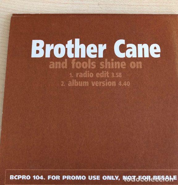 Musik-CDs: Brother Cane &ndash; And Fools Shine On (CD, Virgin BCPRO 104)