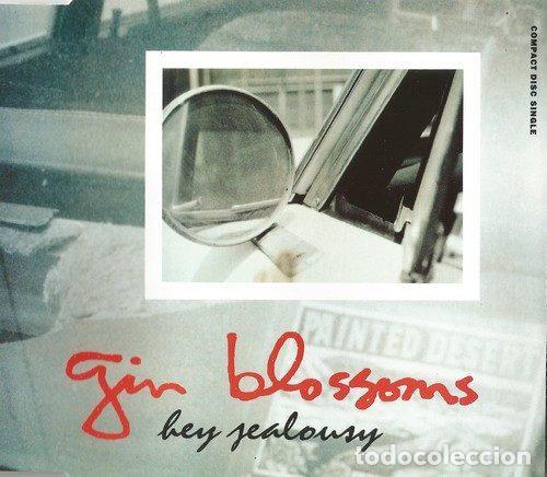 CD di Musica: Gin Blossoms &ndash; Hey Jealousy (CD, A&M Records 580 127-2)