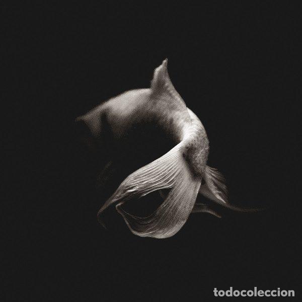 CDs de m&uacute;sica: Maria Coma &ndash; Celesta (CD, Amni&ograve;tic 843600098724) - Foto 1