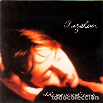 Musik-CDs: Angelou &ndash; While You Were Sleeping (CD, Haven Records HAVENCD 12)