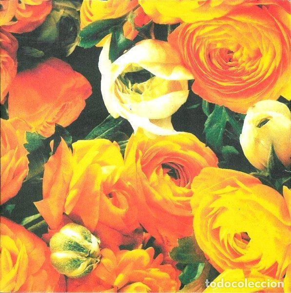 CD de M&uacute;sica: A House &ndash; No More Apologies (CD, Setanta SETCD28)