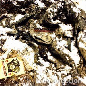 CD de M&uacute;sica: Waxolutionists &ndash; Counter Fight (CD, Universal Music Austria 9866741)