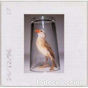 CD di Musica: Tantrum &ndash; Twisted In Anguish (CD, Supine Records SUPINE01)