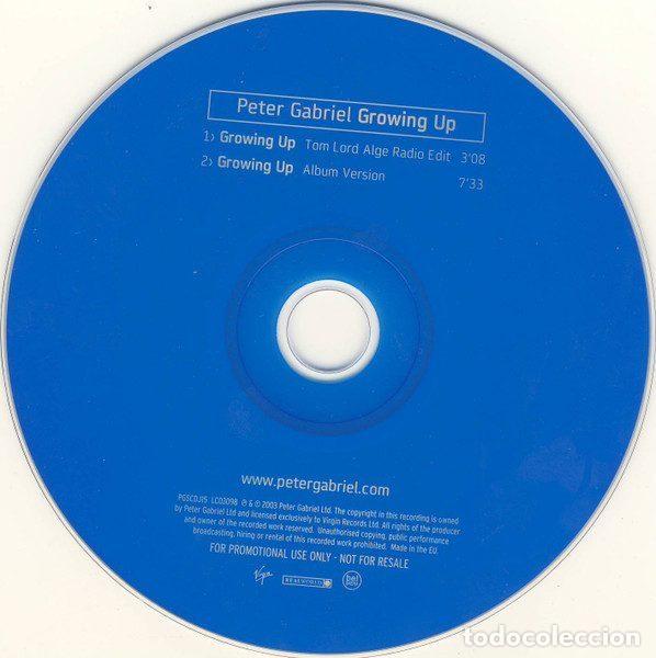 CDs de m&uacute;sica: Peter Gabriel &ndash; Growing Up (CD, Virgin PGSCDJ15) - Foto 3